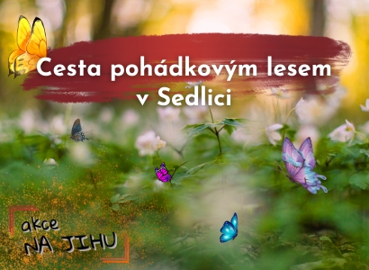 Cesta pohádkovým lesem v Sedlici